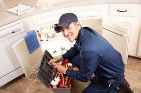 Best 24/7 Emergency Plumbing Services  in Manchester, MI